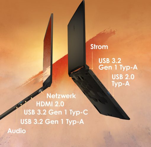 2526882-l22.jpg